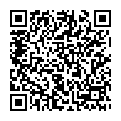 湖內東方路30米路旁農地|近台17線情人碼頭-QR CODE