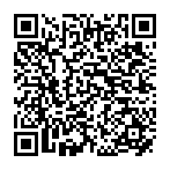 橋頭新市鎮黃金大地坪三角窗出租-QR CODE