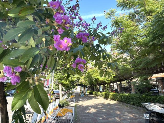 高雄透天-6