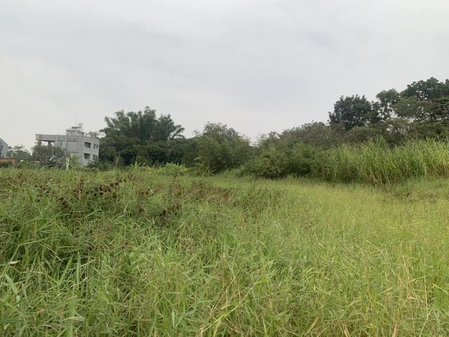 關廟建地-8