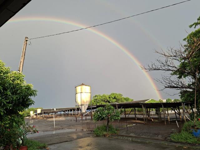 高雄阿蓮農地-0