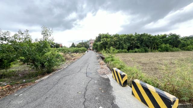 阿蓮農地-6