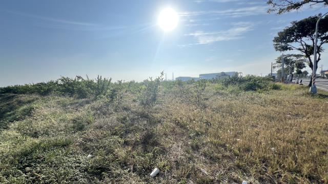 高雄湖內農地-3