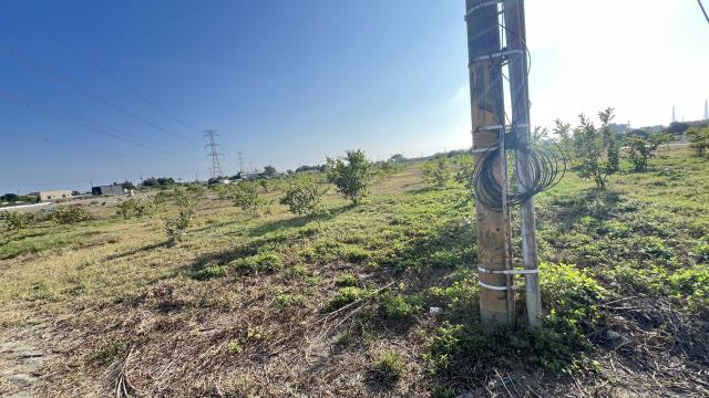 高雄湖內農地-3