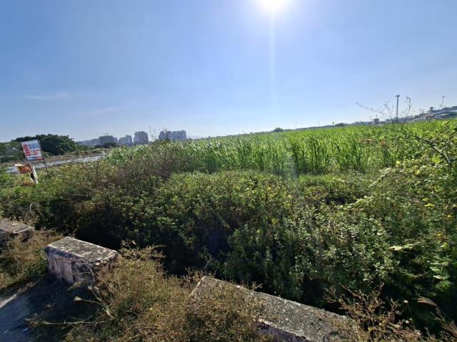 高雄橋頭農地-5