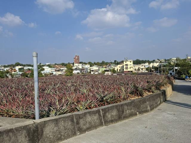 高雄農地-4