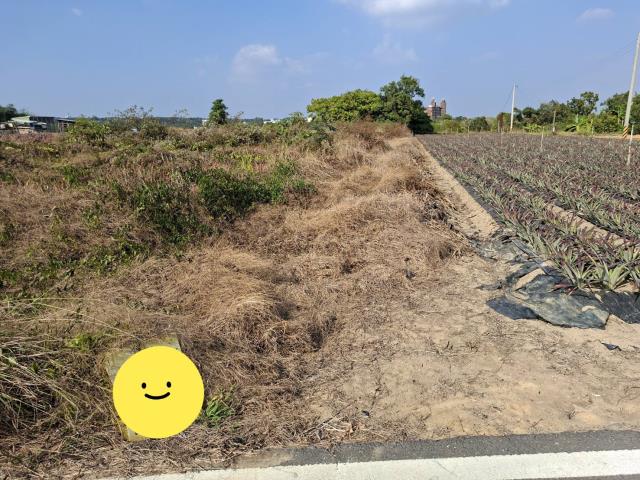 高雄農地-1
