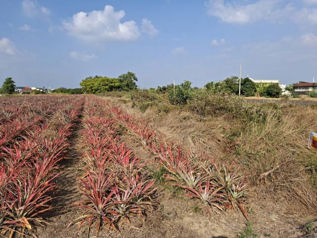 高雄農地-8