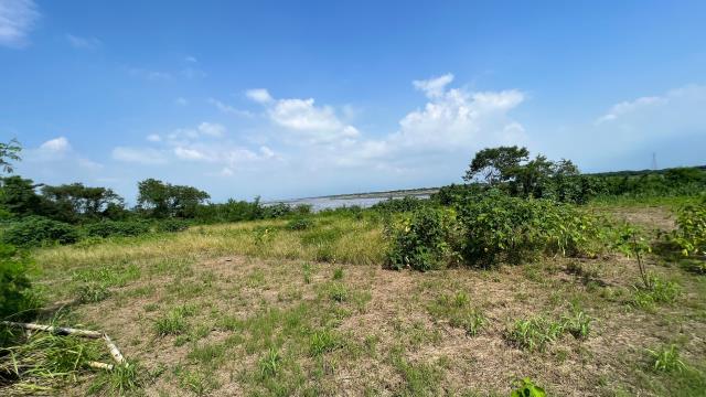 高雄旗山農地-2