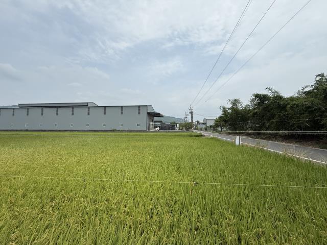 高雄阿蓮農地-9