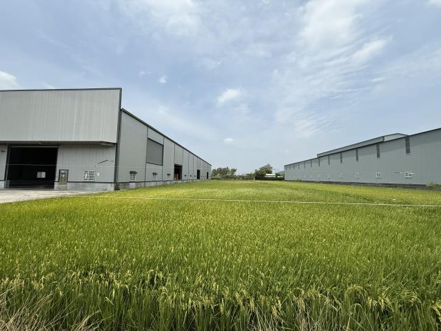 高雄阿蓮農地-11