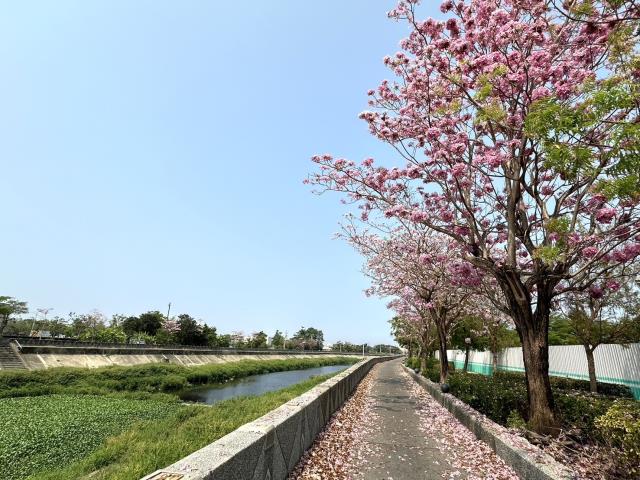 橋頭農地-8