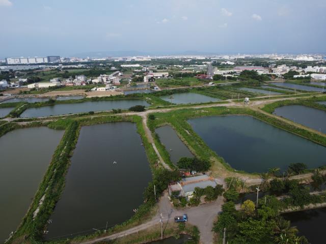 永安農地-11