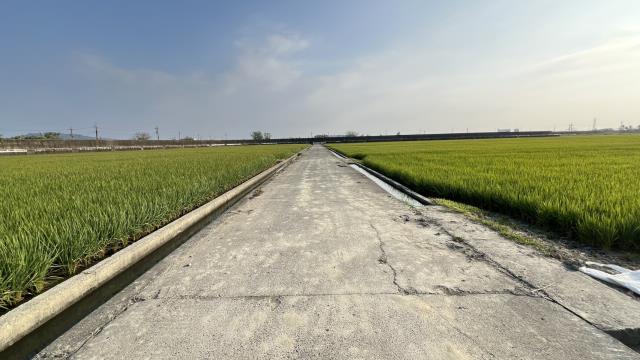 高雄路竹農地-8