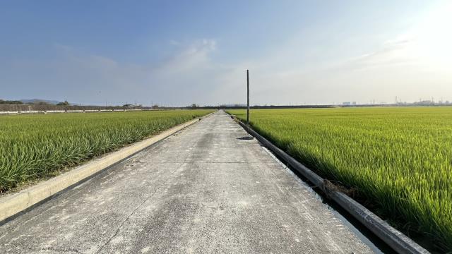 高雄路竹農地-5