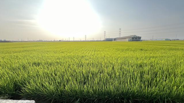 高雄路竹農地-1