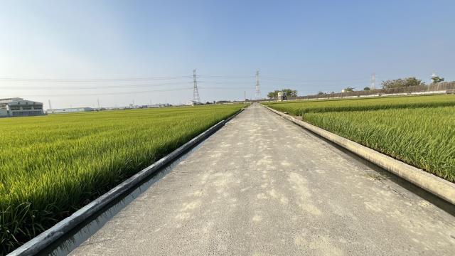 高雄路竹農地-11