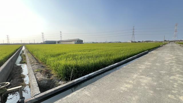高雄路竹農地-10