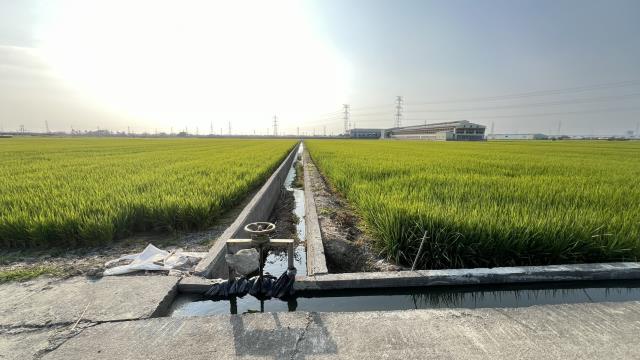 高雄路竹農地-9