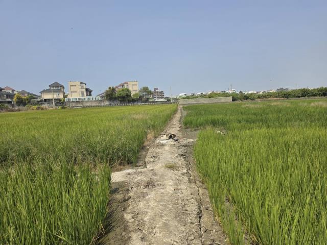 岡山農地-8