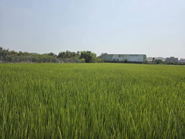 岡山農地-0