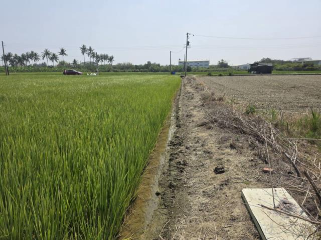 岡山農地-5