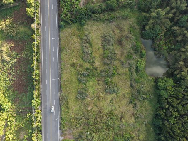 內門農地-14