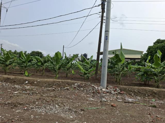 高雄路竹農地-3