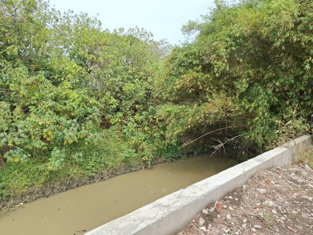 高雄路竹農地-13