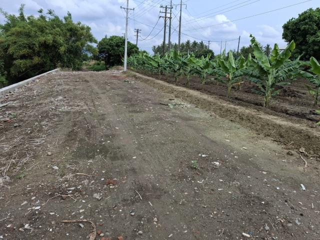 高雄路竹農地-9