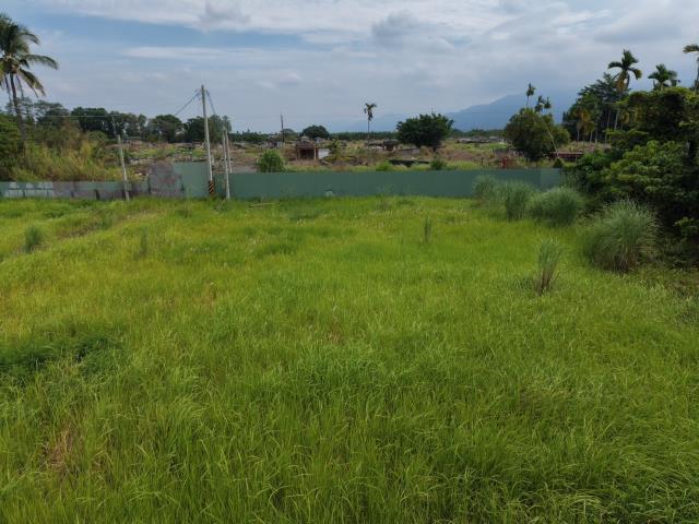 萬巒農地-4