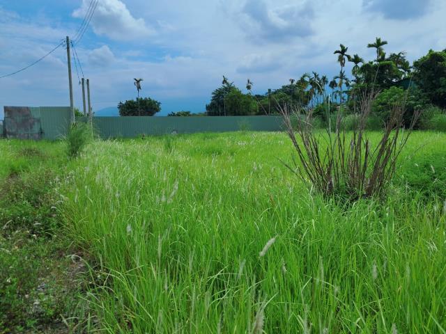 萬巒農地-6