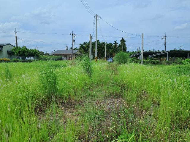 萬巒農地-7