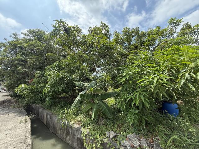 高雄岡山農地-12