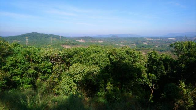 高雄旗山山坡地-0