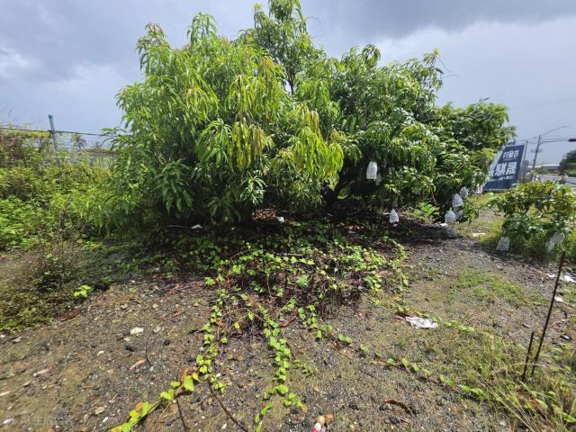 高雄岡山農地-5