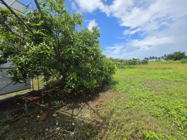 高雄岡山農地-3