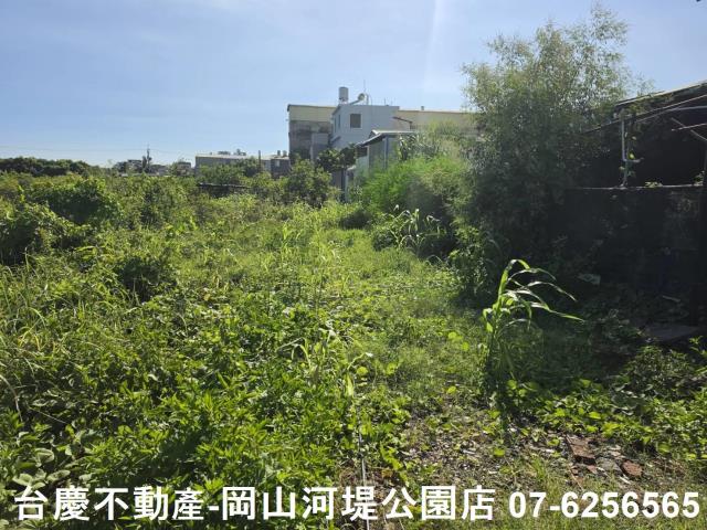 阿蓮農地-9