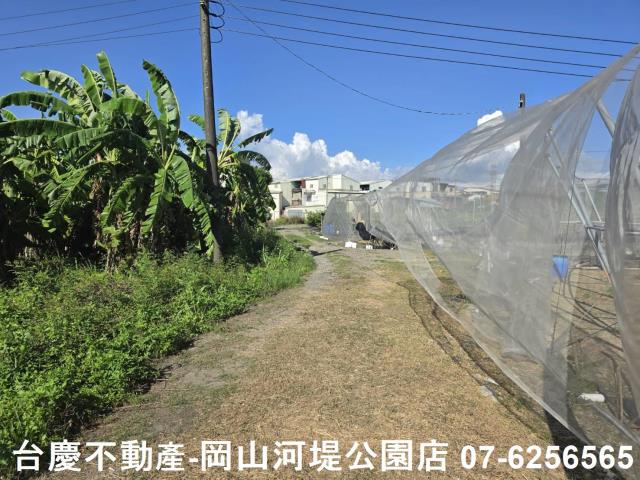 阿蓮農地-0