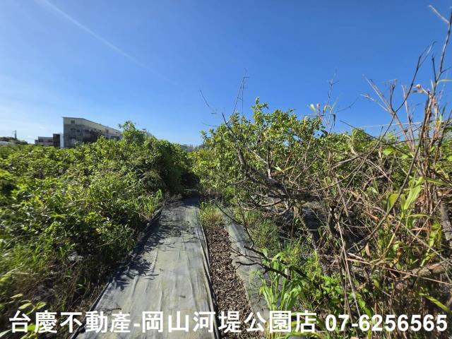 阿蓮農地-2