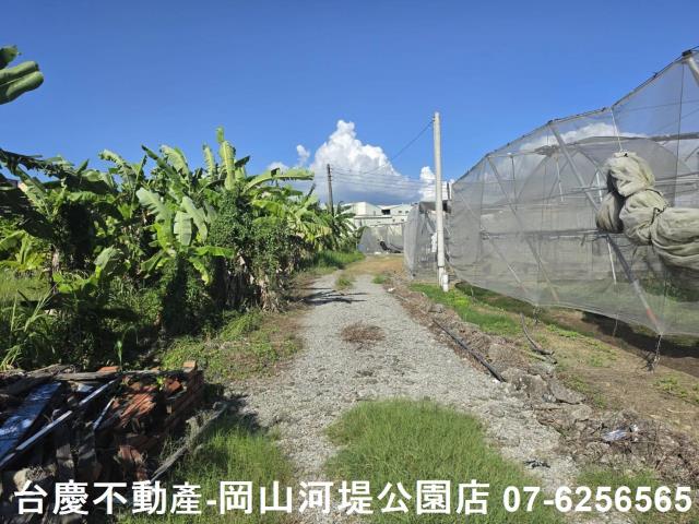 阿蓮農地-7