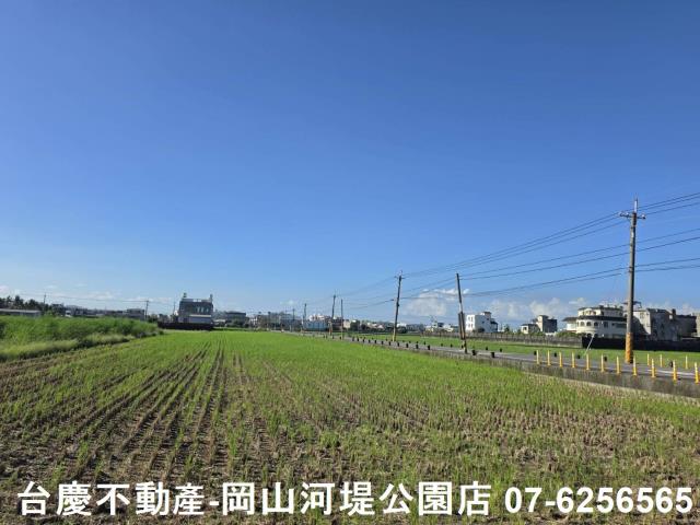 阿蓮農地-0