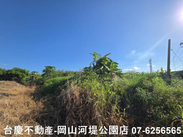 阿蓮農地-8