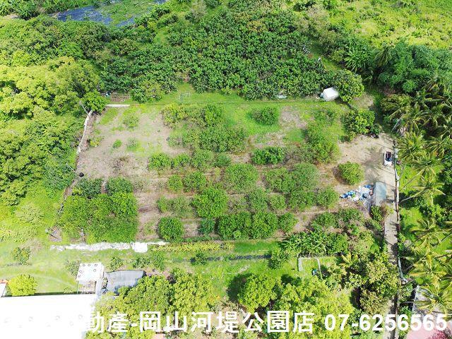 高雄橋頭農地-0