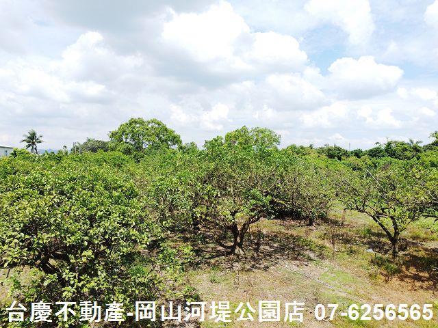 高雄橋頭農地-6