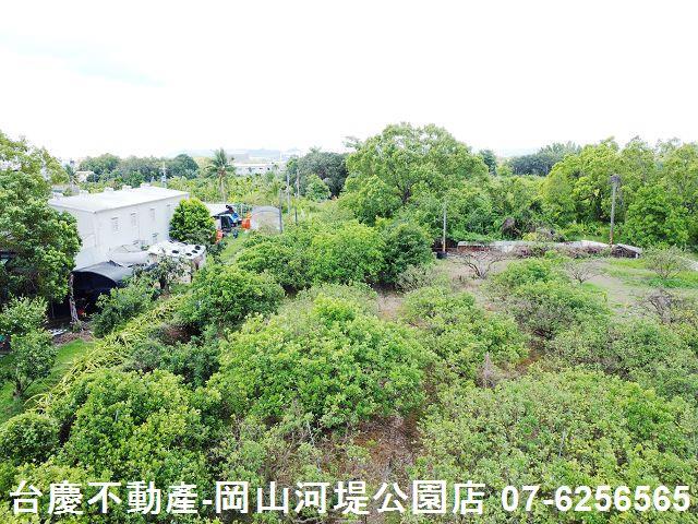 高雄橋頭農地-7