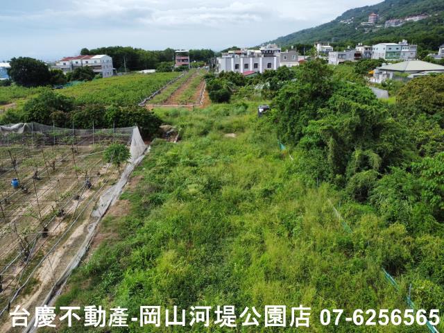 高雄阿蓮農地-9