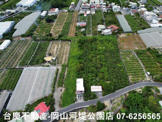 高雄阿蓮農地-1