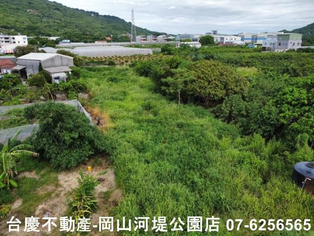 高雄阿蓮農地-7