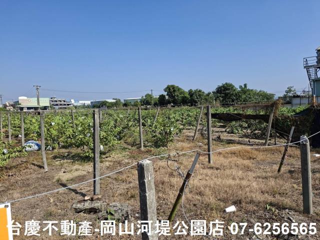 高雄大社農地-5